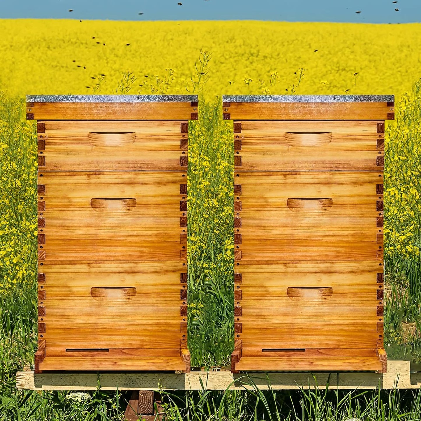 The Original Beeswax Coated Beehive Kit. Includes 2 Deep & 1 Medium Boxes with 10 Wooden Frames & Heavy Wax Coated Foundations. Easy Assembly with instructions (Unassembled)