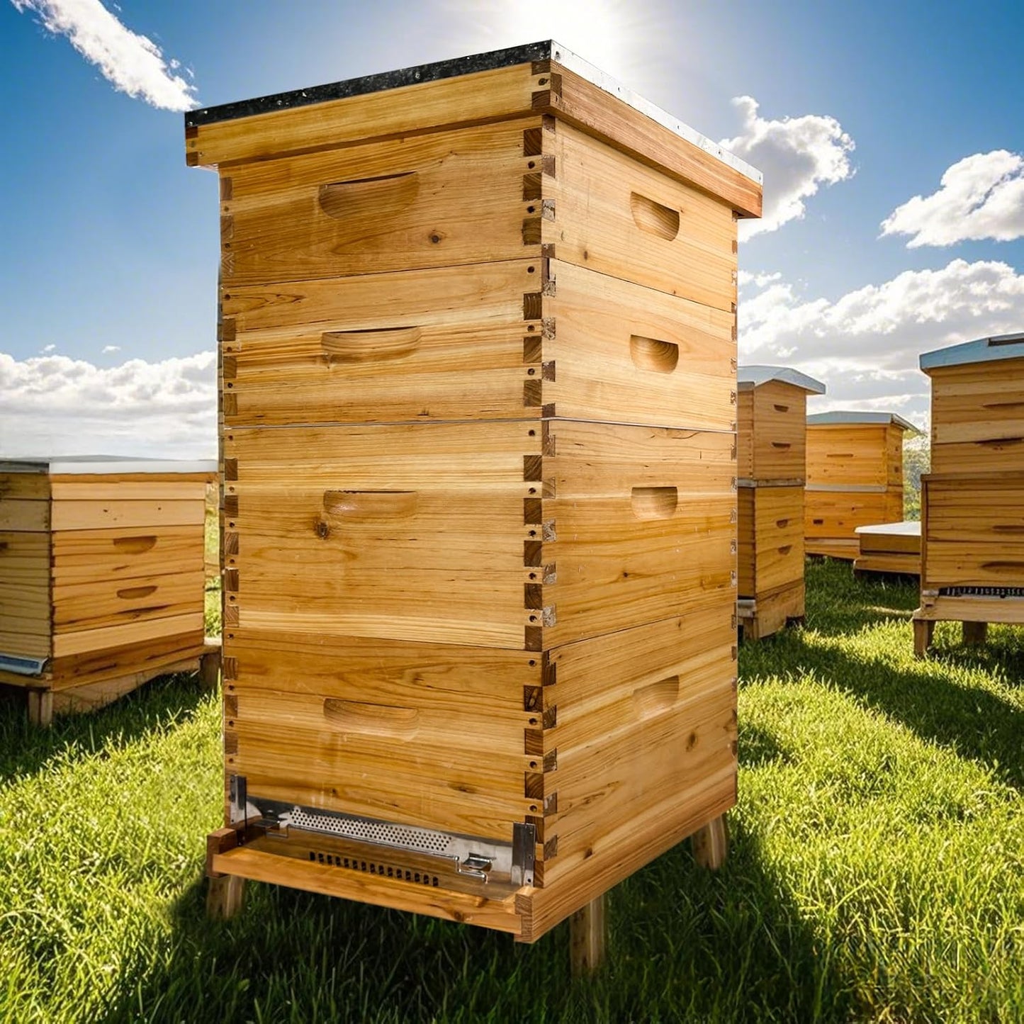 The Original Langstroth Beeswax Coated Beehive Kit. Includes 10 Beehive Frames and Foundations Unassembled(2 Deep Boxes & 2 Medium Boxes)