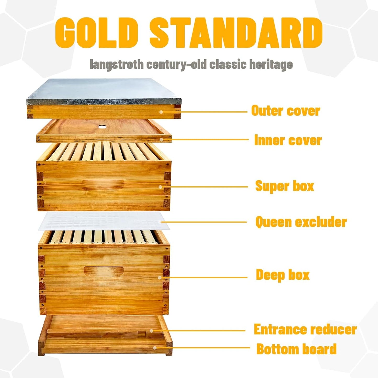 Beginner 10 Frame Bee Hive Beeswax Coated Includes Beehive Frames and Foundations (1 Deep Box & 1 Medium Box)