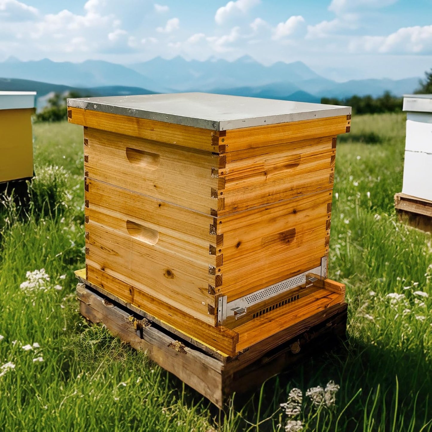 Beginner 10 Frame Bee Hive Beeswax Coated Includes Beehive Frames and Foundations (1 Deep Box & 1 Medium Box)
