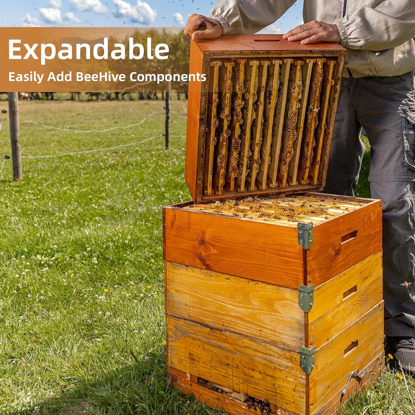10-Frame Wax Coated Deep Beehive Box, Unassembled Langstroth Super Hive with Wooden Frames and Waxed Foundations for Backyard Beekeepers