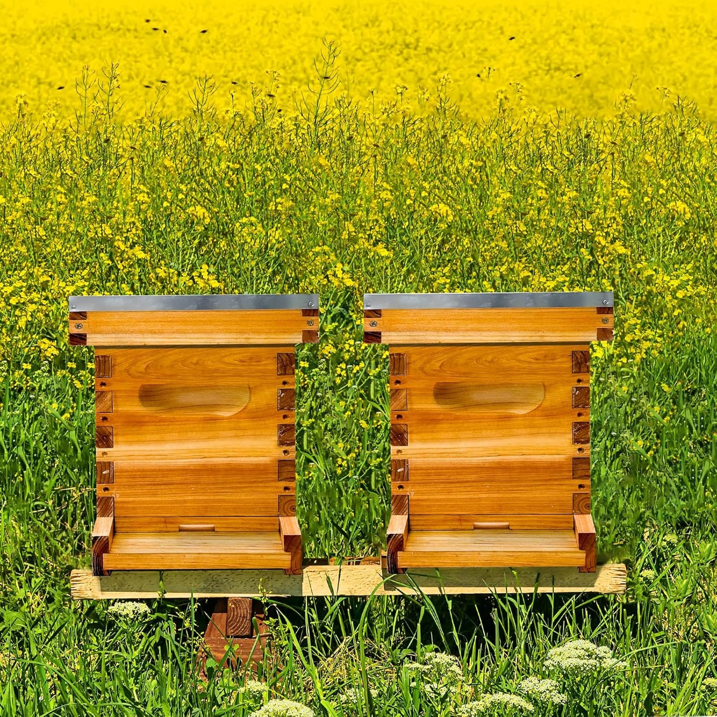 5 Frame Bee NUC Box Kit Beeswax Coated Includes Bee Hive Frames and Foundations (Unassembled)