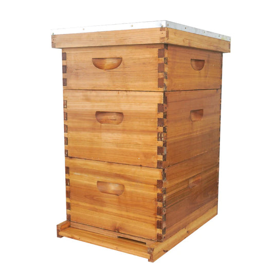 10 Frame Langstroth Hive Beeswax Coated Complete Beehive Kit | With Frames & Foundations