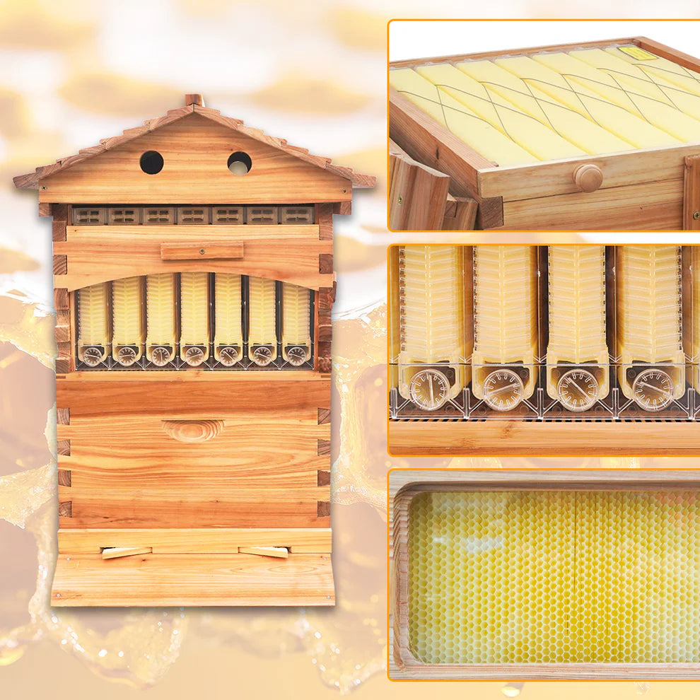 Super Frame Bee Auto Bee Hive, with 7pcs Auto Super Frames, 10pcs Brood Frames With Pl ...