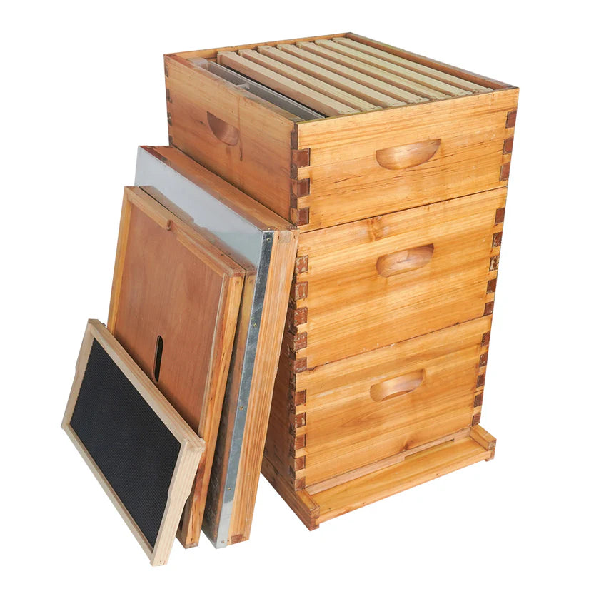 10 Frame Langstroth Hive Beeswax Coated Complete Beehive Kit | With Frames & Foundations