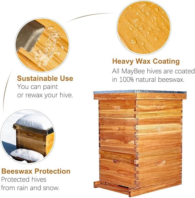 10 Frame Langstroth Hive Beeswax Coated Complete Beehive Kit | With Frames & Foundations