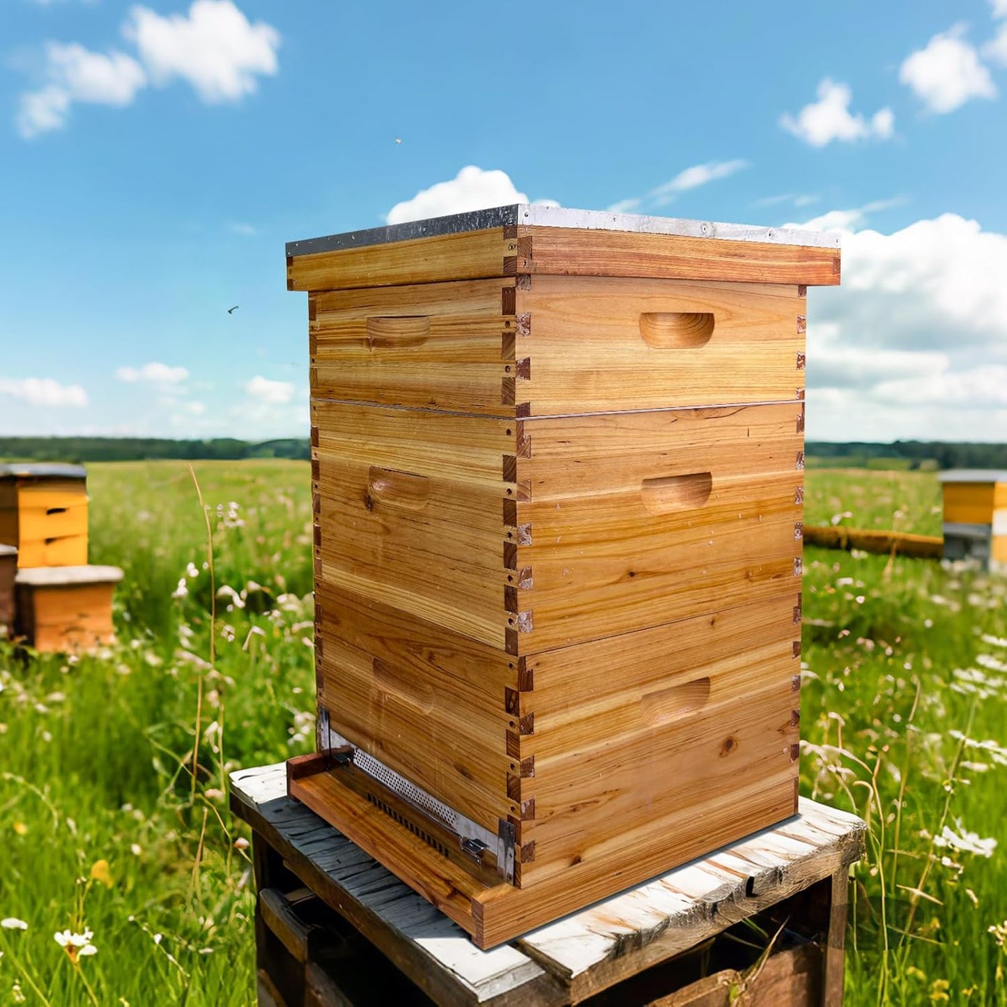 Gold Standard 8 Frame Bee Hive Beeswax Coated Includes Beehive Frames and Foundations (2 Deep Boxes & 1 Medium Box)