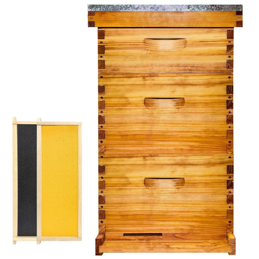 Gold Standard 8 Frame Bee Hive Beeswax Coated Includes Beehive Frames and Foundations (2 Deep Boxes & 1 Medium Box)